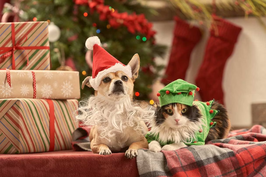 Dog and cat during christmas with gifts